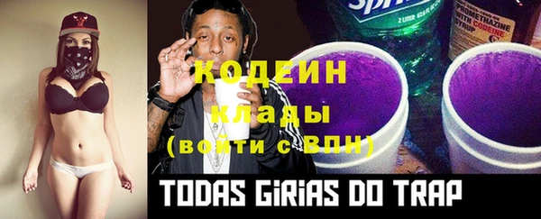 хмурый Абаза